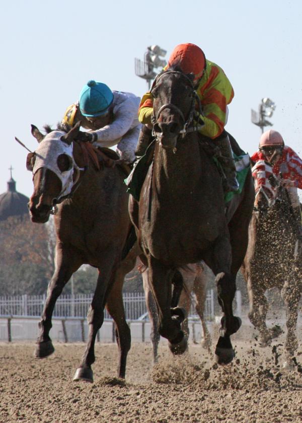 Wind Chill Factor holds off longshot in Louisiana Futurity